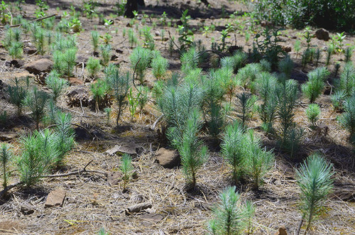 HFI7W 9WAAAbP5U?format=jpg.jpg