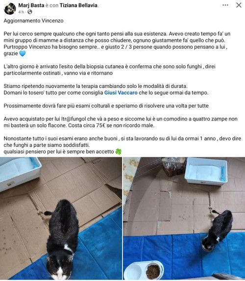 G6TxJ7WWYAA hww?format=jpg.jpg