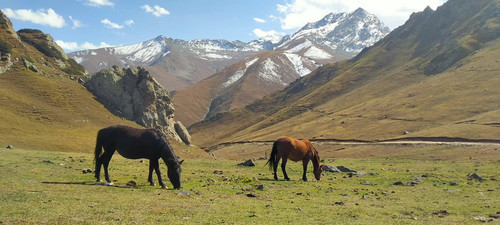 HFW3 Jsa8AM89Bk?format=jpg.jpg