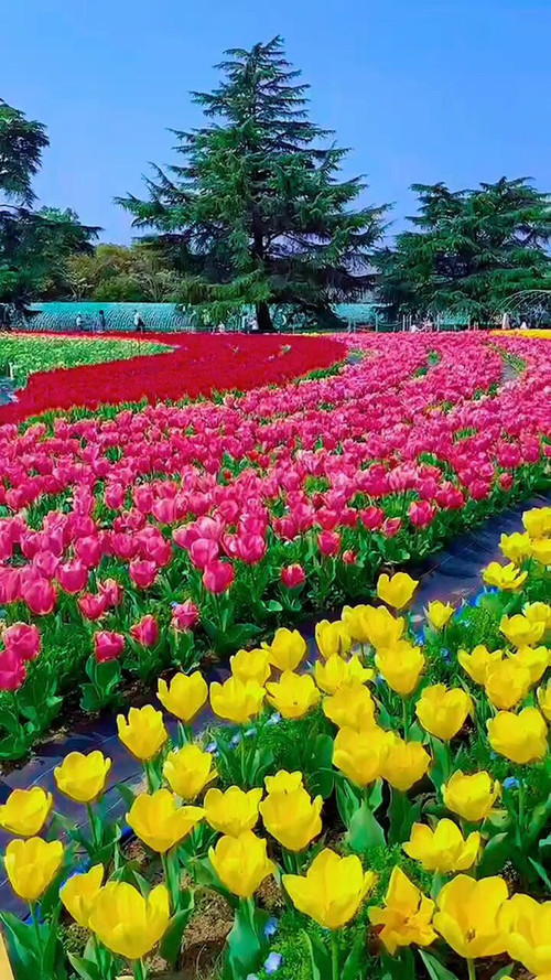 EzM2twTM rjOCK9j.jpg