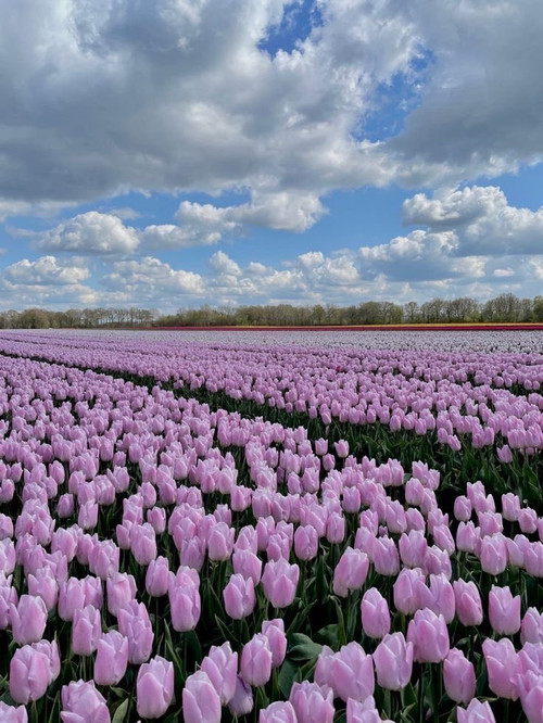 HFTrrr aYAA8nbk?format=jpg.jpg