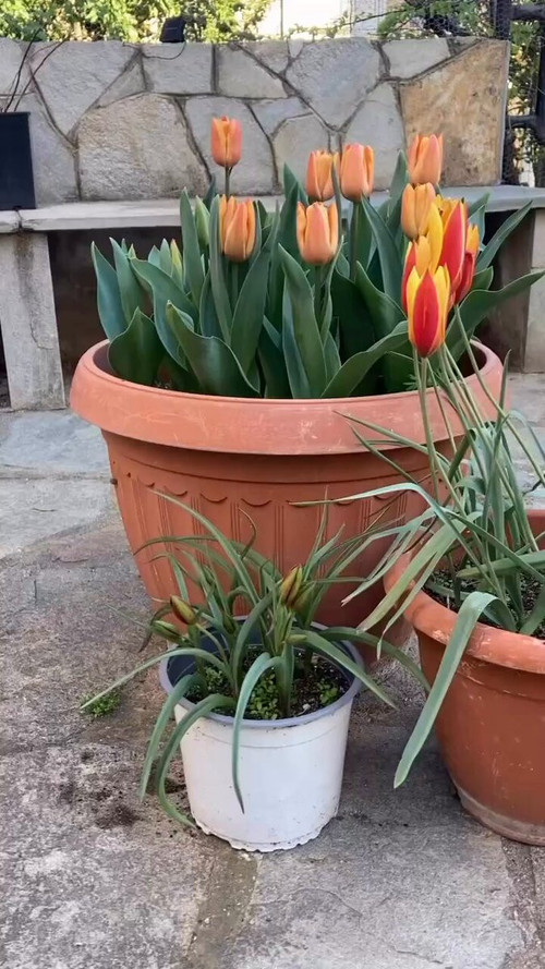 2c V9GLc4L9v roB.jpg