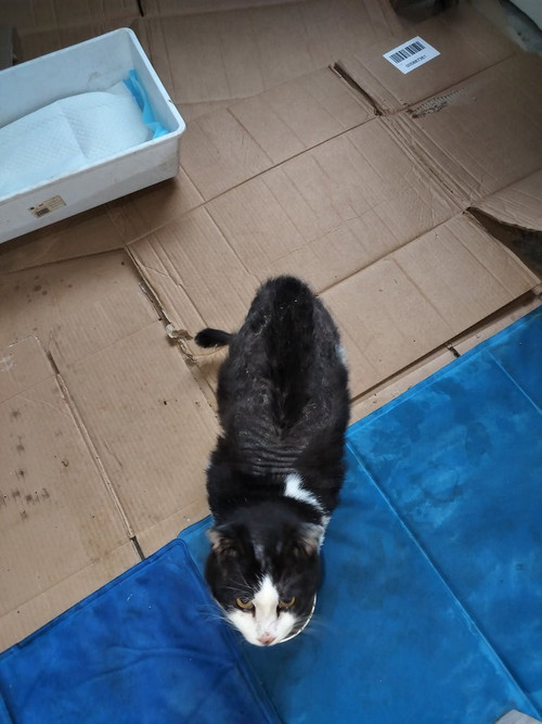 G6TxJ BWcAAO0uY?format=jpg.jpg