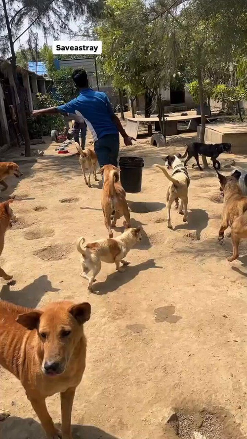 6ISqnjJSmUq TkYi.jpg