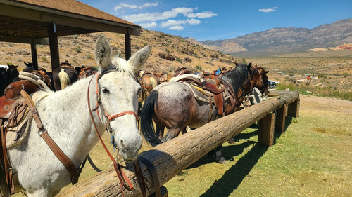 HFV M6IbUAAOJFL?format=jpg.jpg