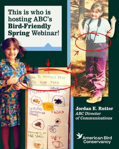 HFVKJIpWsAA lp ?format=jpg.jpg