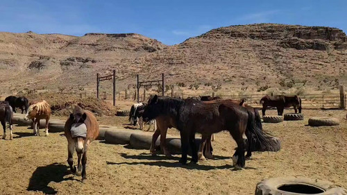 gVQw N17W8TcNxy4.jpg