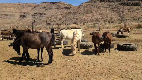 O14CVm5K vu71FWa.jpg