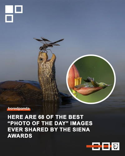 Community Share 2 April.jpg