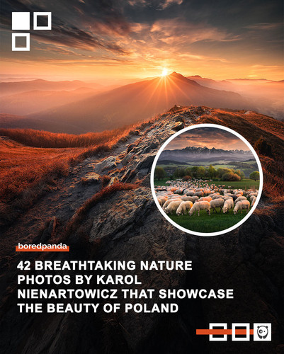 Community Share 31 March.jpg