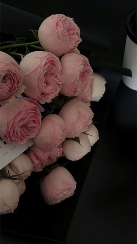 3DEC76E5 BBD4 467D A94D B4D2792E8405.jpg