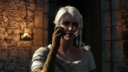 the witcher 3 wild hunt 31943369098 o.png