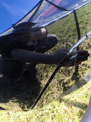 IMG 20260401 153717.jpg