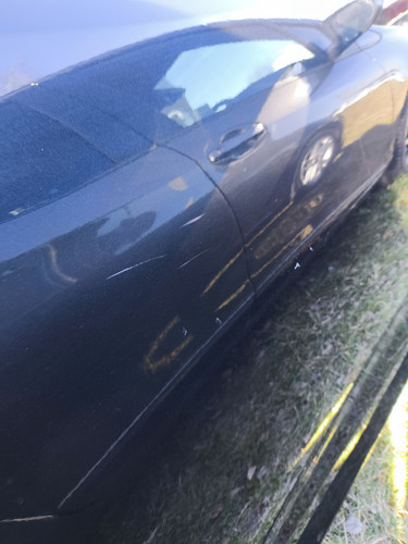 IMG 20260401 153647.jpg