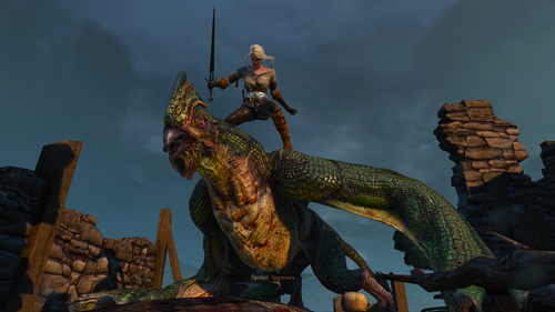 the witcher 3 wild hunt 31943370758 o.png