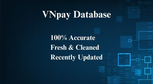 VNpay database.jpg