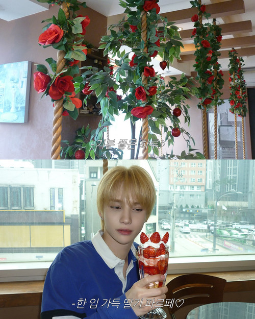 @smtr25 official R⤓Download.jpg