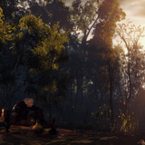 the witcher 3 wild hunt 30874333847 o