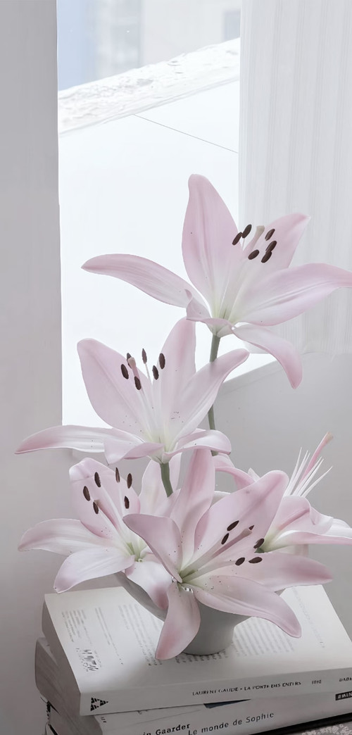 IMG 20260330 101922.jpg