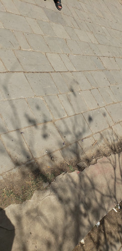 ٢٠٢٦٠٤٠٥ ١٠٣٦٤٨ ٠٠١.jpg