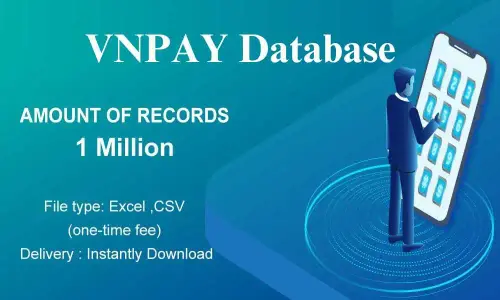VNPAY database.webp