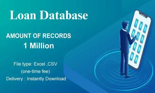 Loan Database.webp