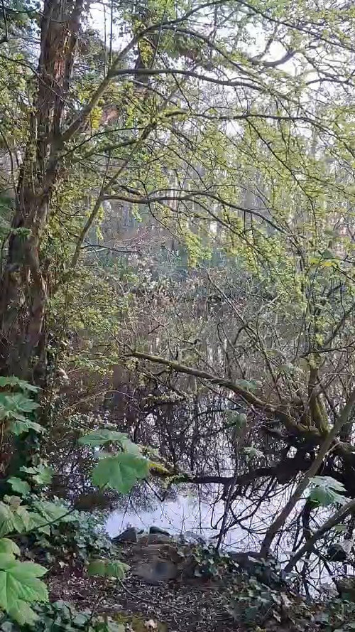 biVi9EDpDX5 DqRH.jpg