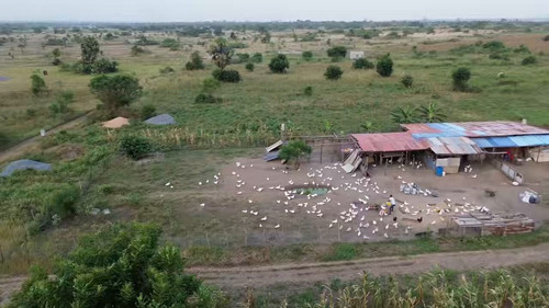 mnWYafsBKnm99 tQ.jpg