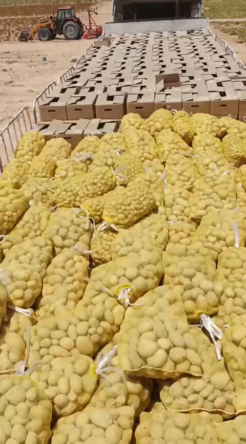 DE0hbfYZOjKRs mg.jpg