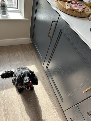 HFTdKJ WcAAie7Q?format=jpg.jpg