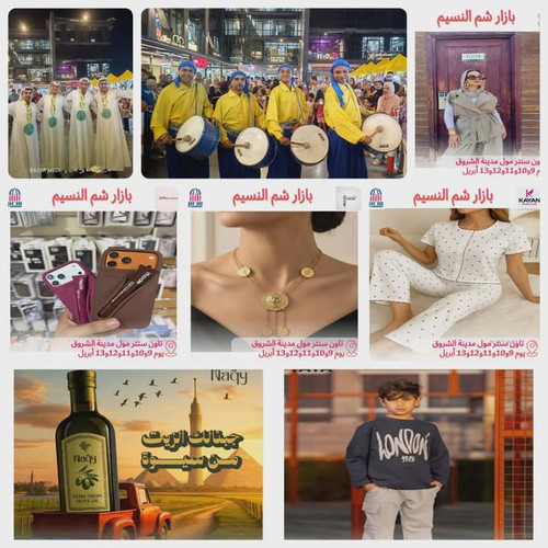 664630234 1305722288324520 1650915748509664941 n.jpg