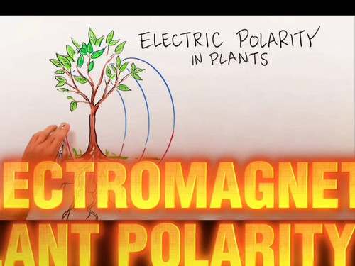 dVu2ZEiB Z3aYYs4.jpg