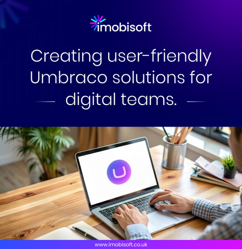User-friendly Umbraco Solutions for modern digital teams.jpg
