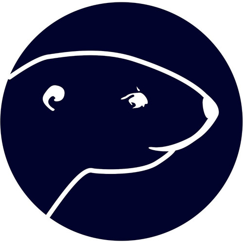 355482594 209062018758531 8393858097269912308 n.jpg