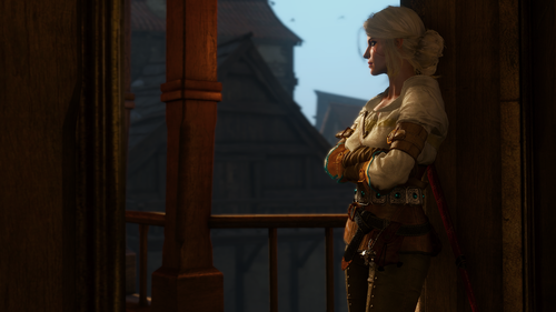 the witcher 3 wild hunt 31943374708 o.png