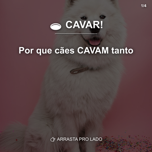 carousel 1775653202423 slide1.png