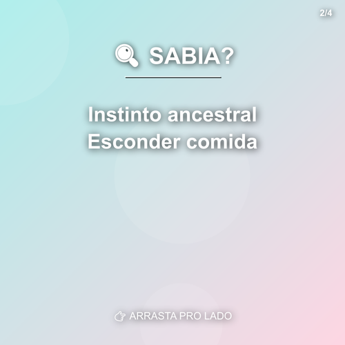 carousel 1775653202769 slide2.png