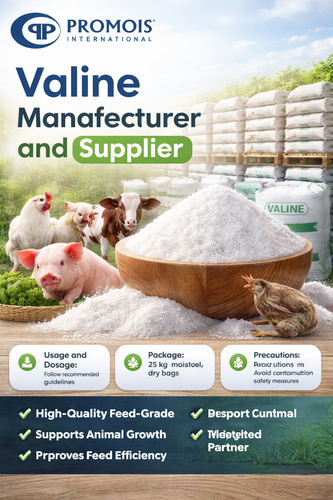 Reliable Valine Manufacturer and supplier for Livestock Growth.png