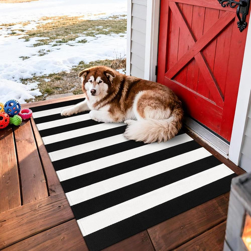 81QepQOAGmL. AC SL1500 (1).jpg