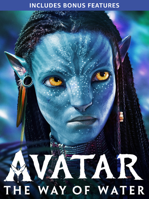 Avatar.jpg