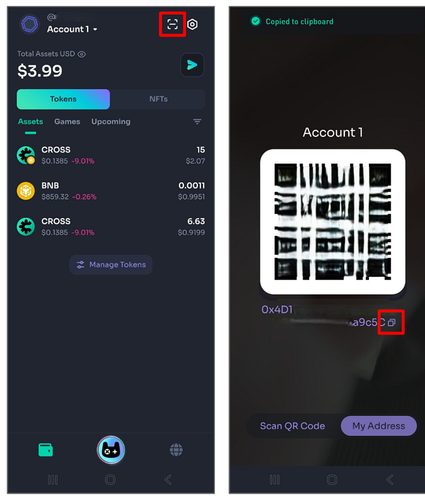 v2 A step1 wallet address.png