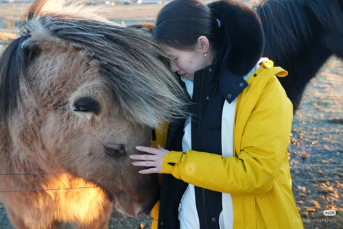 Camera 1040g3k031qah5ch1743g5p9f1kmalbr1s8psccg.jpg