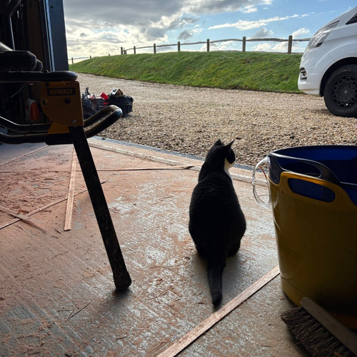 HFX4F 6a8Ac6NqZ?format=jpg.jpg