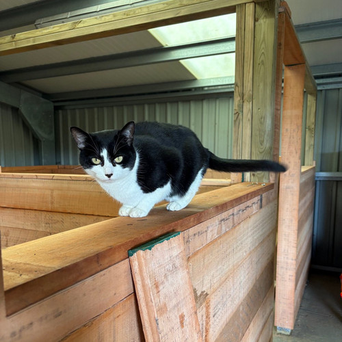 HFX4F Pa8AQz 8?format=jpg.jpg