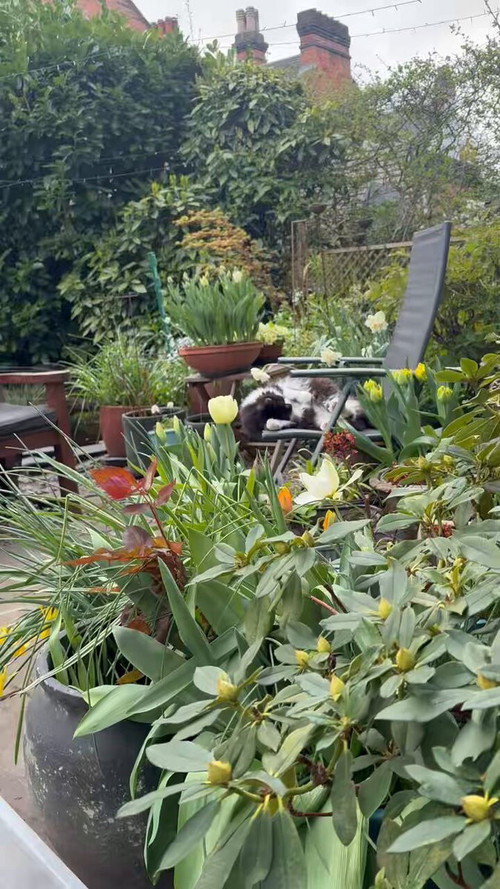 0RNN4ZB o5V5yTx0.jpg