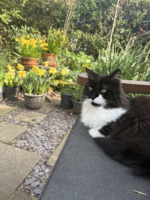 HFXpYchbEAA I7F?format=jpg.jpg