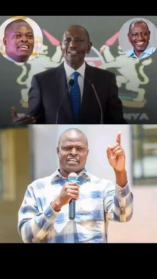 YrM vYlGfP771 HN.jpg