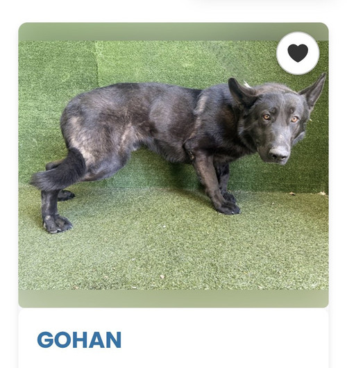 HEWKjqGXcAA93 a?format=jpg.jpg