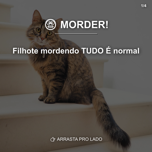 carousel 1775644894721 slide1.png