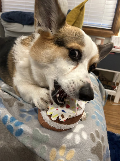 HFWBn7jbgAAca W?format=jpg.jpg